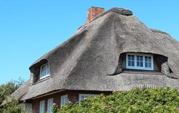 thatch roofing Trewyn, Devon